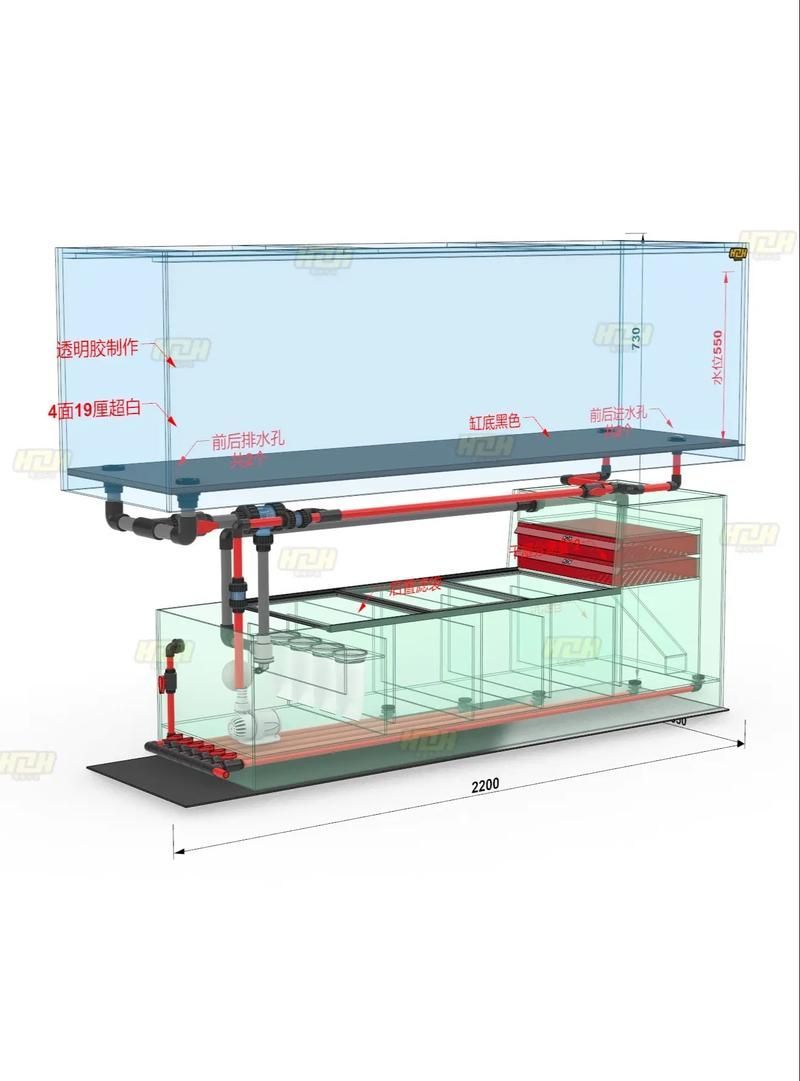 裸缸養(yǎng)魚有哪些注意事項(xiàng)