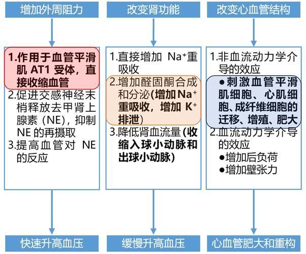 這三種病分別用什么藥最有效，中國高血壓、2型糖尿病、冠心病的首選藥物詳解