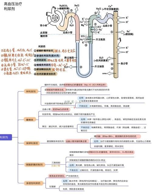 這三種病分別用什么藥最有效，中國高血壓、2型糖尿病、冠心病的首選藥物詳解
