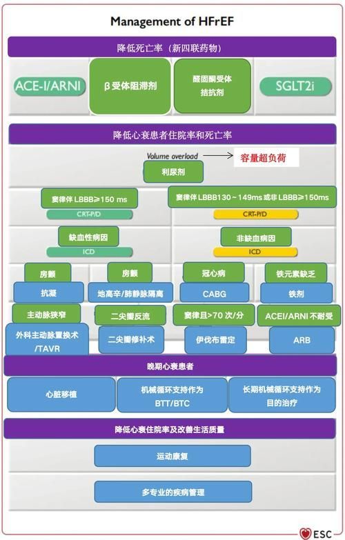 這三種病分別用什么藥最有效，中國高血壓、2型糖尿病、冠心病的首選藥物詳解