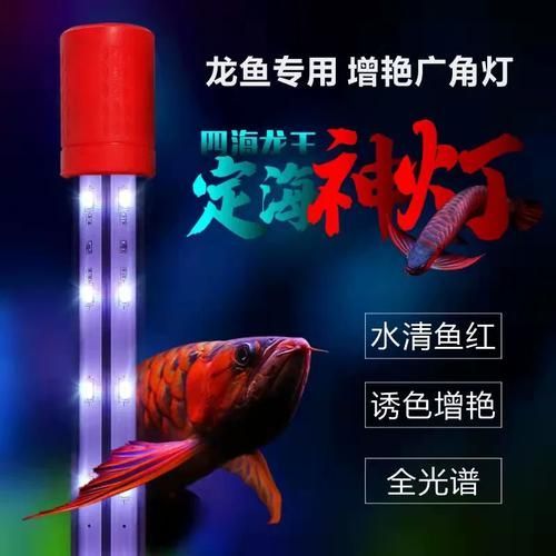 如何選擇適合龍魚的燈光，選擇適合龍魚的燈光是確保其健康成長和展示最佳關鍵因素之一
