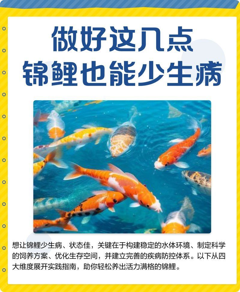 如何預防龍魚和錦鯉生病，如何預防龍魚和錦鯉生病，預防龍魚和錦鯉生病，關鍵在于“環境穩定、管理精細、預防為主”