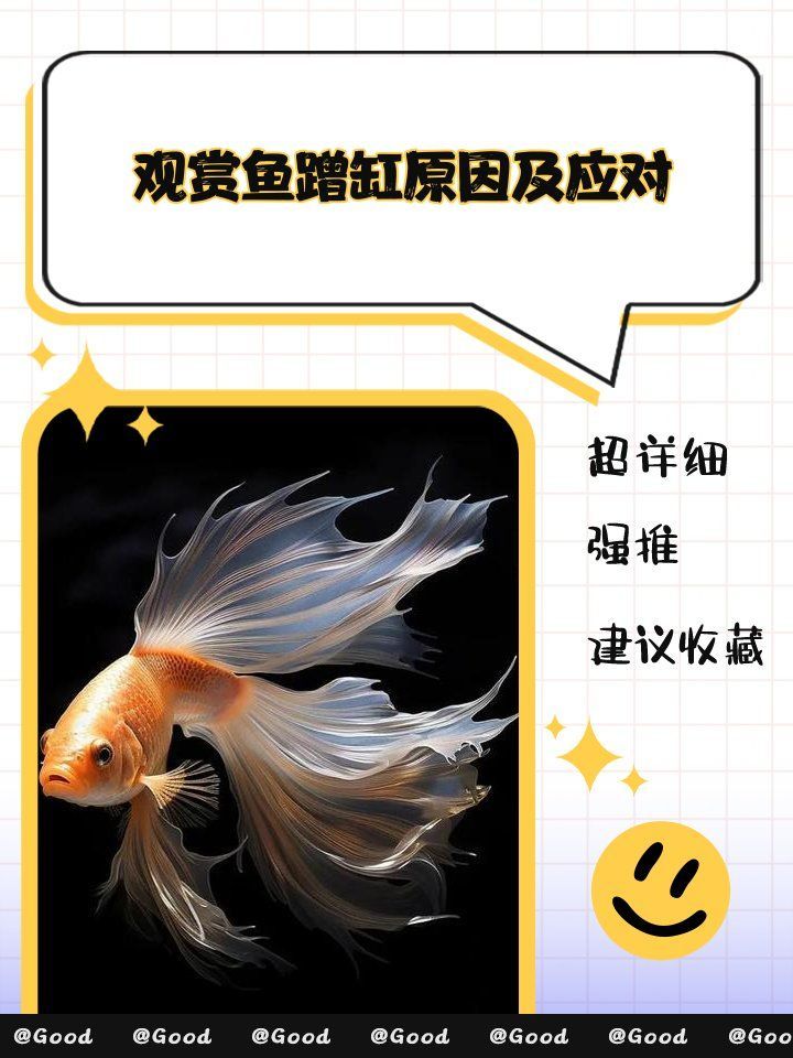 龍魚下巴蹭缸正常嗎？，龍魚下巴蹭缸正常嗎