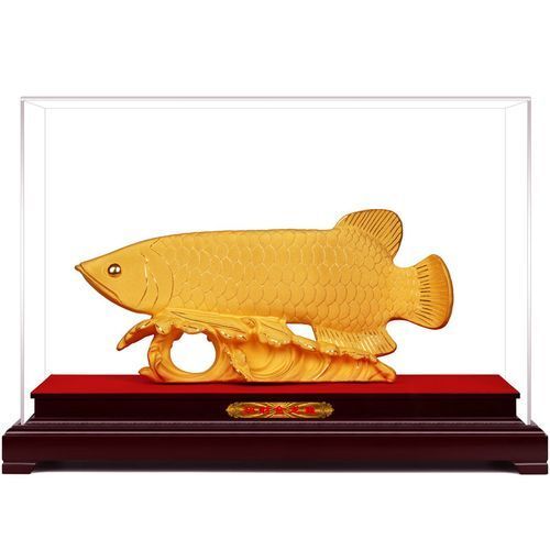 如何判斷絨沙金金龍魚的價格是否合理，判斷絨沙金龍魚價格是否合理，絨沙金龍魚價格是否合理