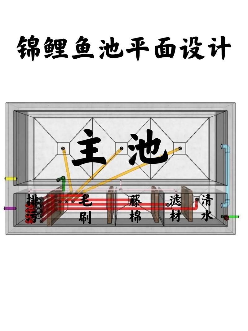 如何預防錦鯉爛鰭病復發，錦鯉爛鰭病復發預防