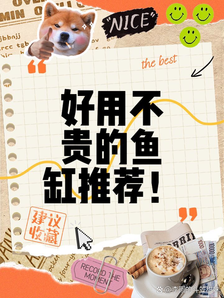 有哪些品牌魚缸值得推薦，哪些品牌魚缸值得推薦