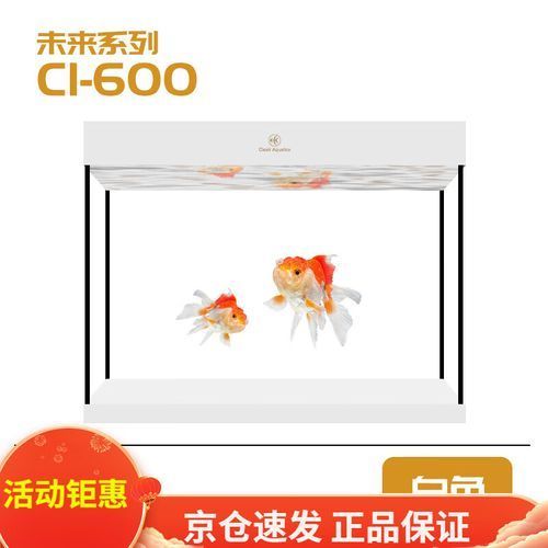 有哪些高端龍魚缸品牌推薦？，如何挑選高端龍魚缸
