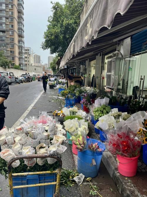 西安龍魚市場哪個最出名？，西安龍魚市場哪個最出名