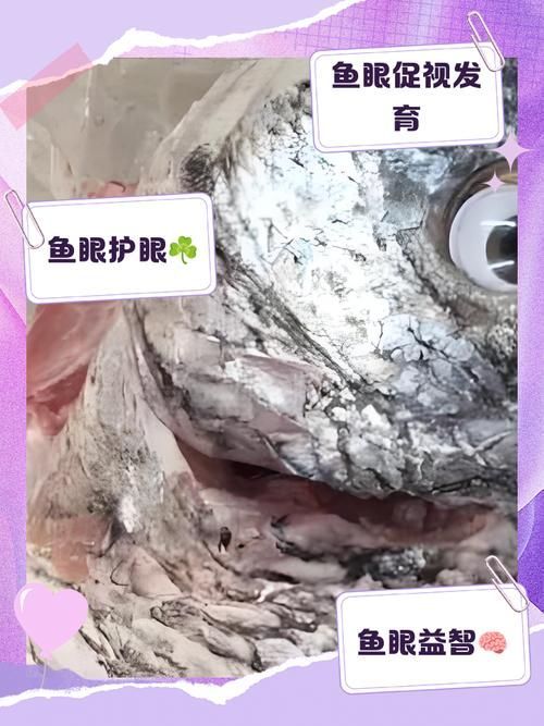 如何預防觀賞魚突眼病，觀賞魚突眼病的預防