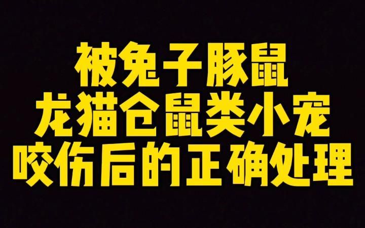 龍貓咬傷后多久會恢復(fù)，龍貓咬傷后多久會恢復(fù)，被龍貓咬傷后應(yīng)該如何緊急處理？