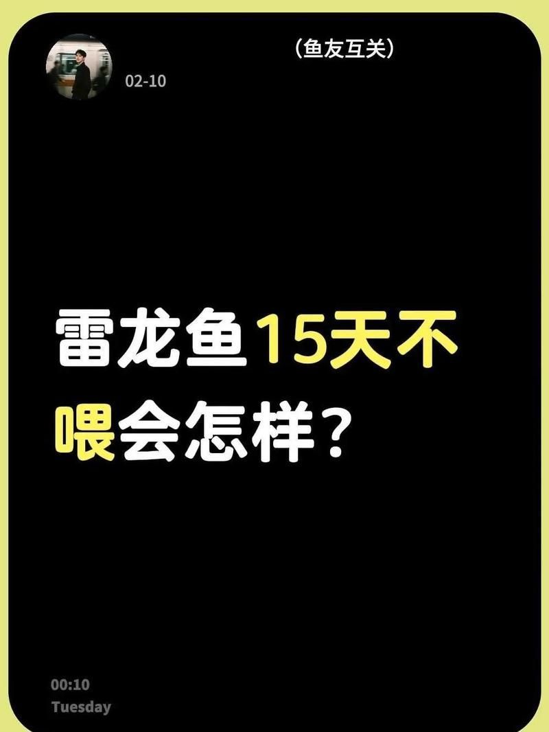 龍魚15天不吃食會餓死嗎，龍魚15天不吃食會餓死嗎龍魚15天不吃食會餓死嗎