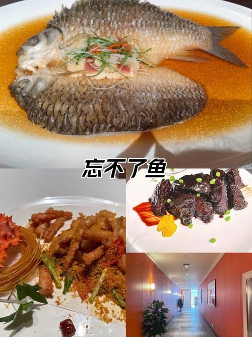馬來西亞忘不了魚，馬來西亞“忘不了魚”