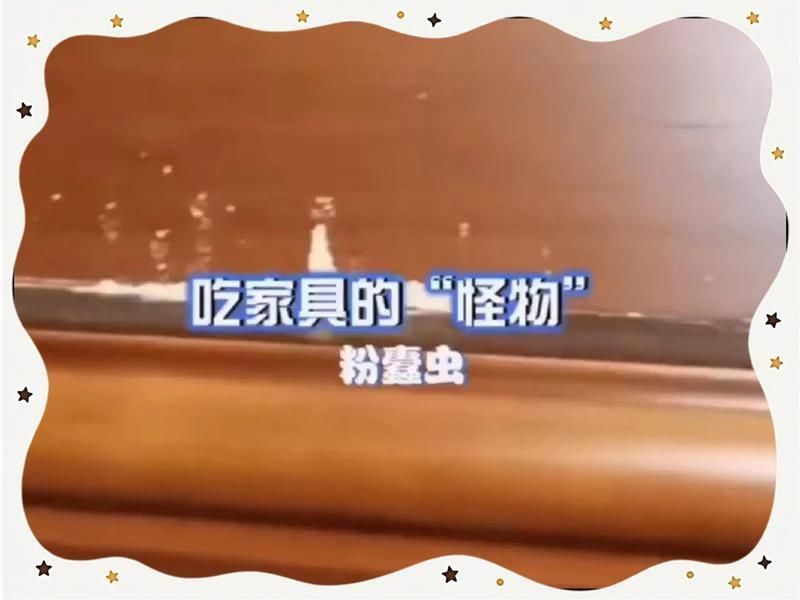 家里出現(xiàn)蠹蟲(chóng)要警惕了，家里出現(xiàn)蠹蟲(chóng)要警惕了，