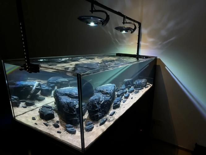 水鴨魚缸有哪些型號可選？