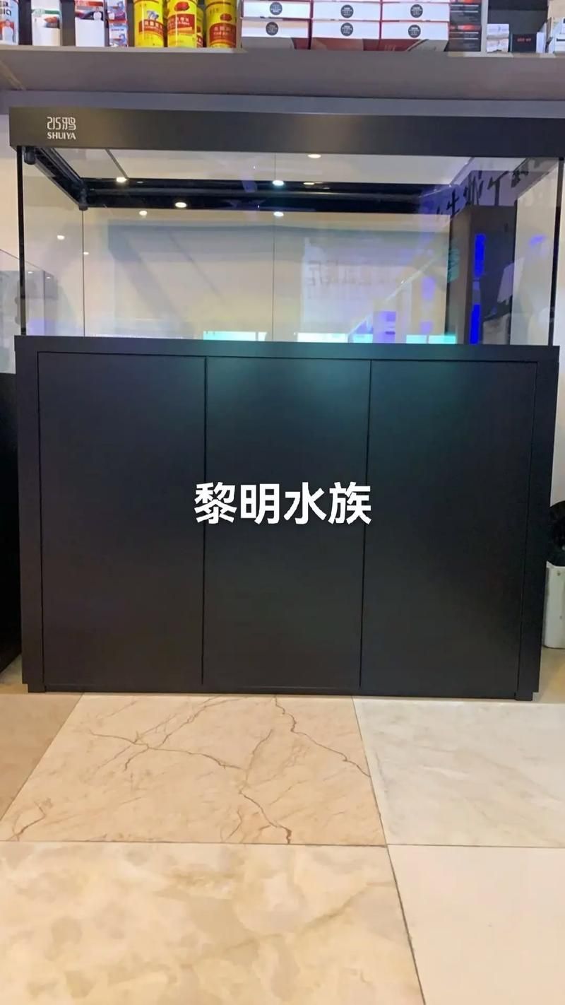 水鴨魚缸有哪些型號可選？