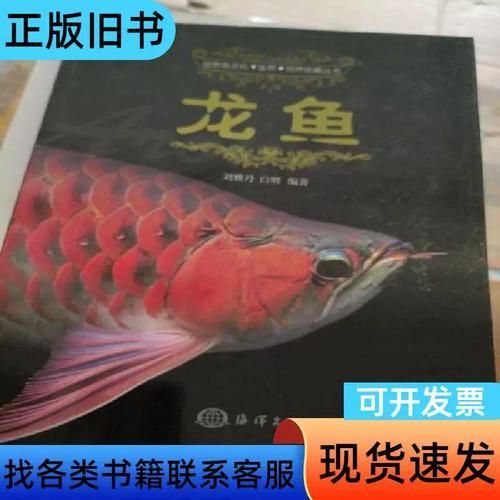 《城中龍魚》作者是誰？，《城中龍魚》作者是誰