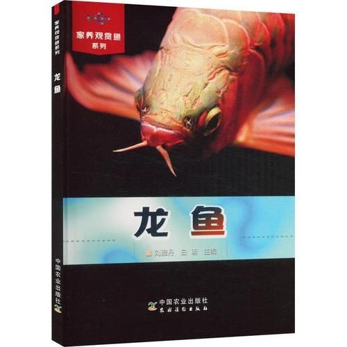 《城中龍魚》作者是誰？，《城中龍魚》作者是誰