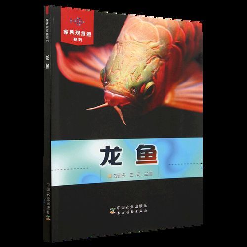 《城中龍魚》作者是誰？，《城中龍魚》作者是誰