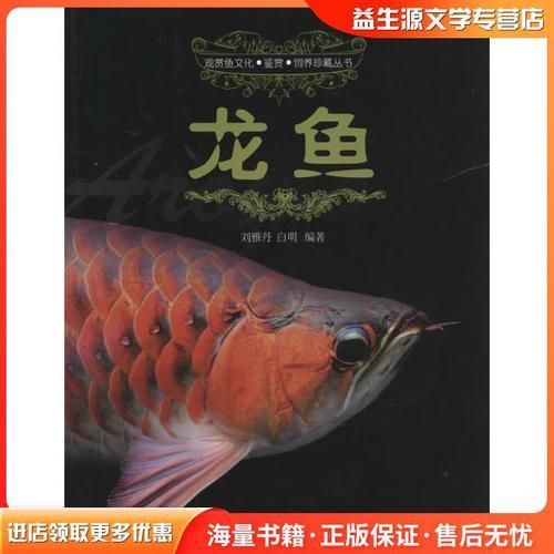 《城中龍魚》作者是誰？，《城中龍魚》作者是誰