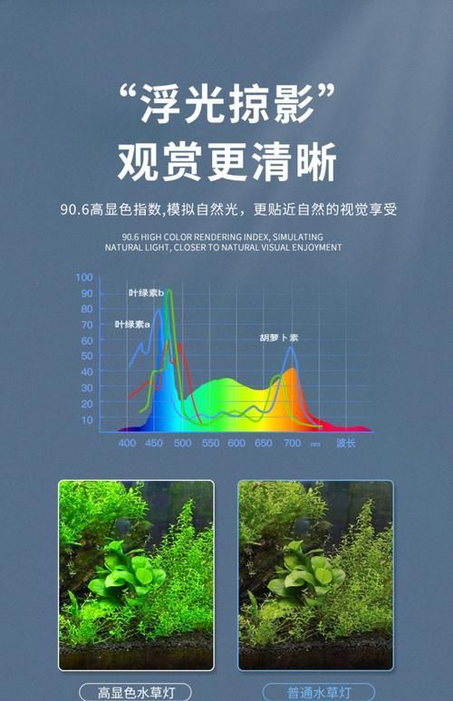 如何改善魚缸的光照條件？