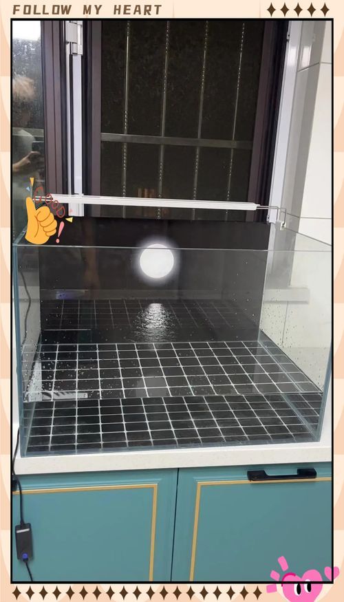 古典過背金龍魚缸背景材質更換技巧，古典過背金龍魚缸背景材質更換技巧思考完成