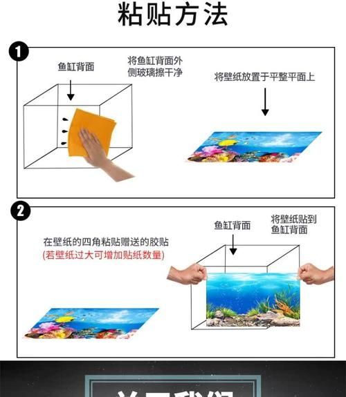 古典過背金龍魚缸背景材質更換技巧，古典過背金龍魚缸背景材質更換技巧思考完成