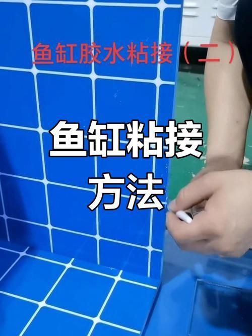 古典過背金龍魚缸背景材質更換技巧，古典過背金龍魚缸背景材質更換技巧思考完成