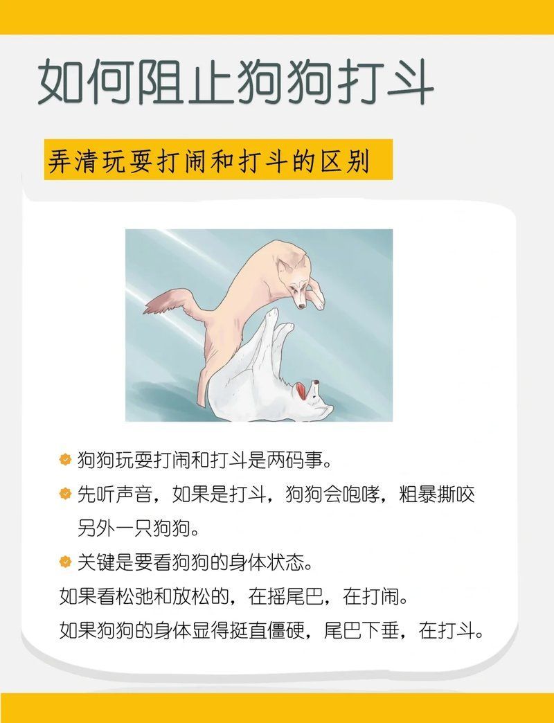 混養時如何減少攻擊行為，———倉鼠、烏龜混養時如何減少攻擊行為