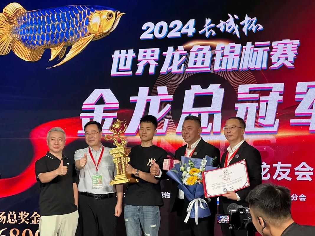 2024年長城杯龍魚大賽的冠軍是誰？，2024年長城杯龍魚冠軍龍魚大賽冠軍是誰