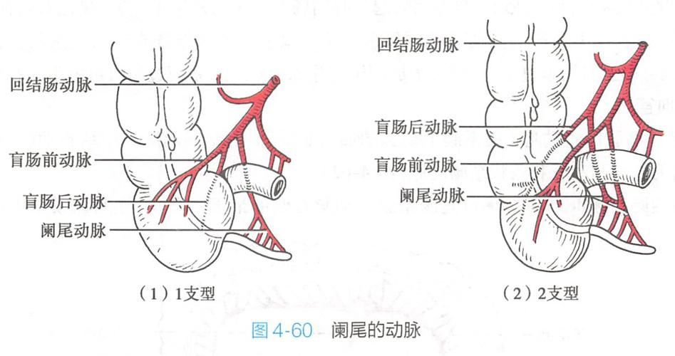 爛尾病有哪些治療方法