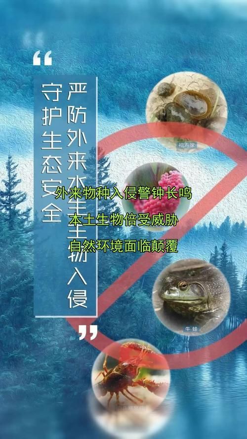如何防范龍魚等外來物種入侵，如何防范龍魚等外來入侵物種入侵