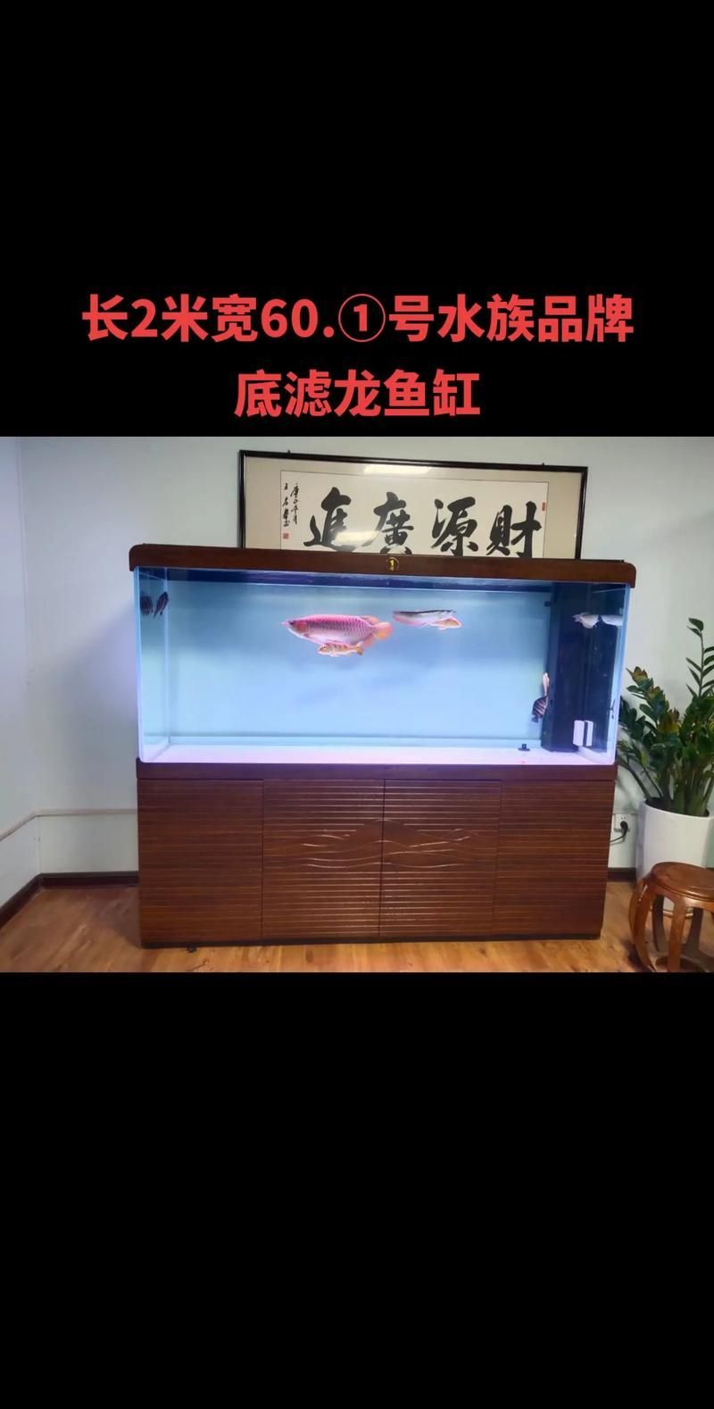 能否提供龍魚魚缸十大排名圖片？