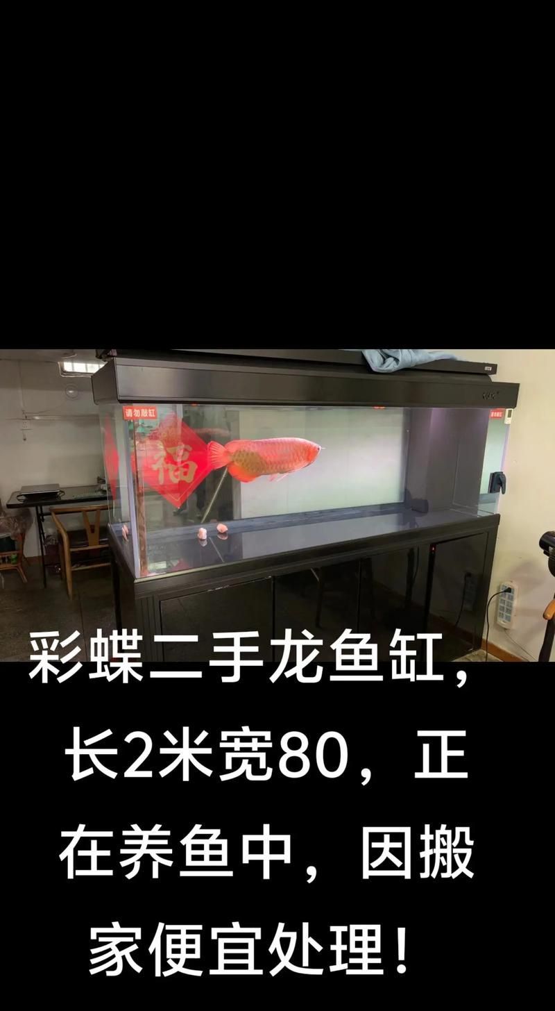 能否提供龍魚魚缸十大排名圖片？