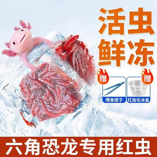 給我推薦一些適合四角恐龍魚的飼料品牌，四角恐龍魚的飼料品牌推薦