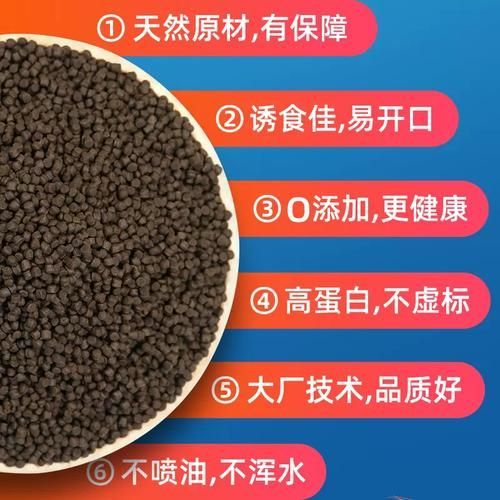給我推薦一些適合四角恐龍魚的飼料品牌，四角恐龍魚的飼料品牌推薦