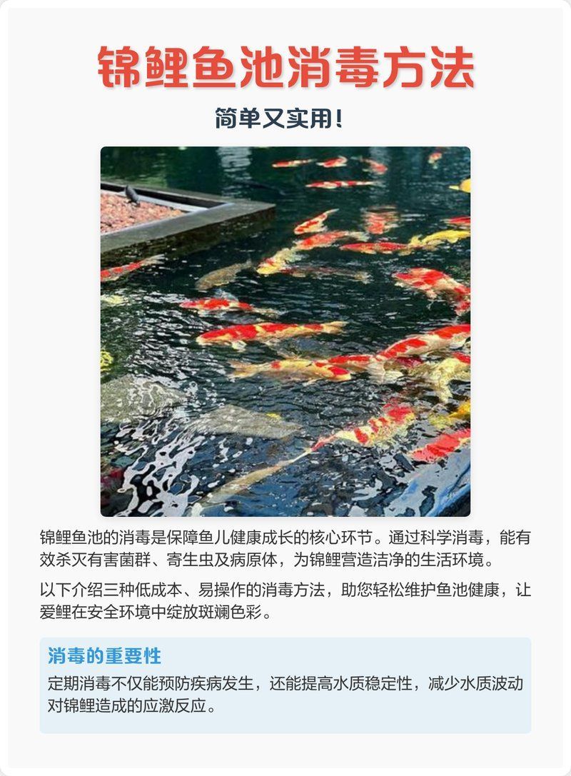 如何預防錦鯉紅斑病，如何預防錦鯉紅斑病的預防指南（arxiv論文助手）