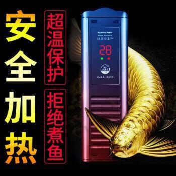 如何調(diào)整龍魚的水溫至26度？，如何將龍魚的水溫調(diào)整至26度？
