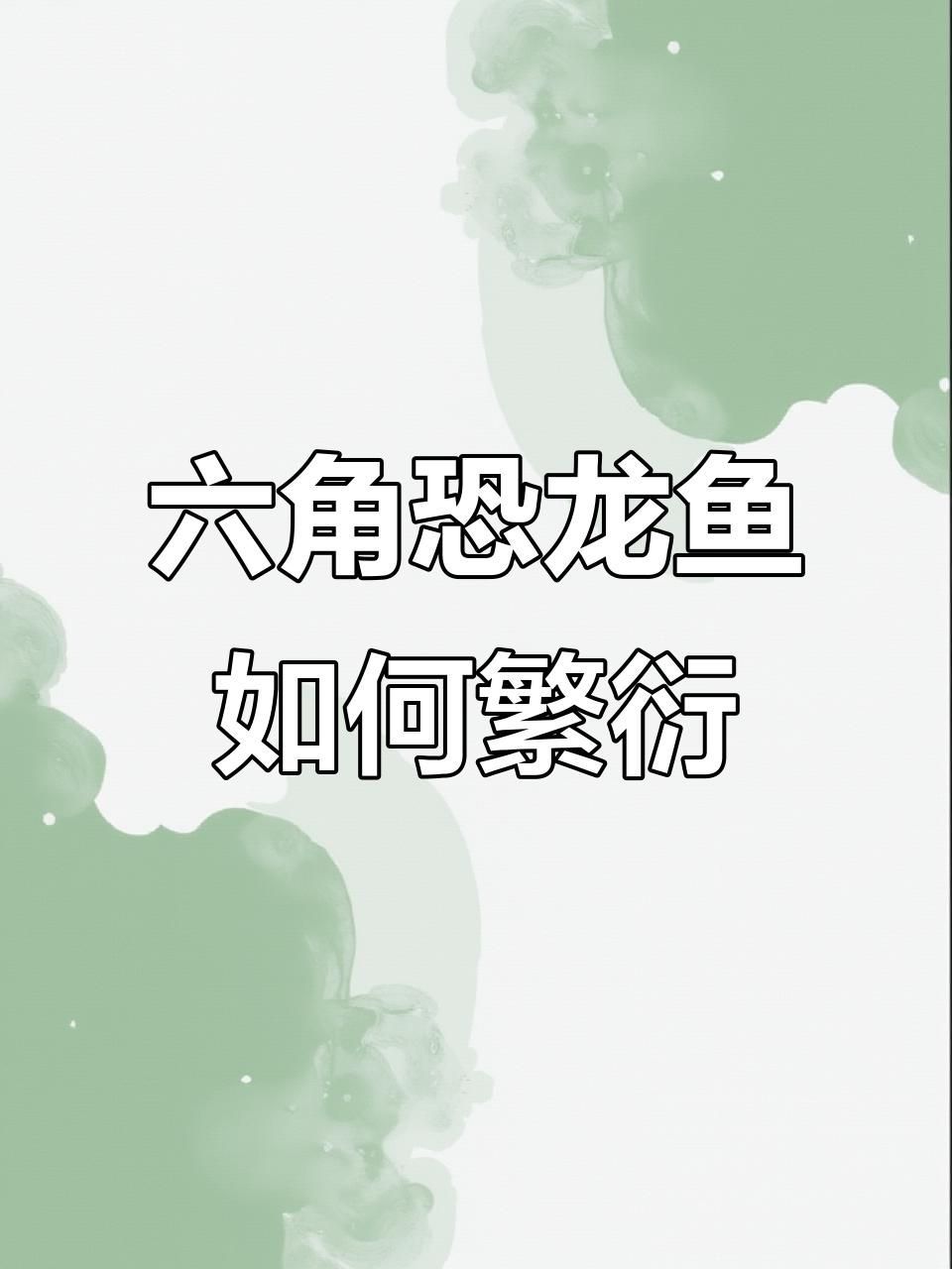 六角龍魚繁殖需要多久，六角恐龍魚的繁殖與孵化過程揭秘