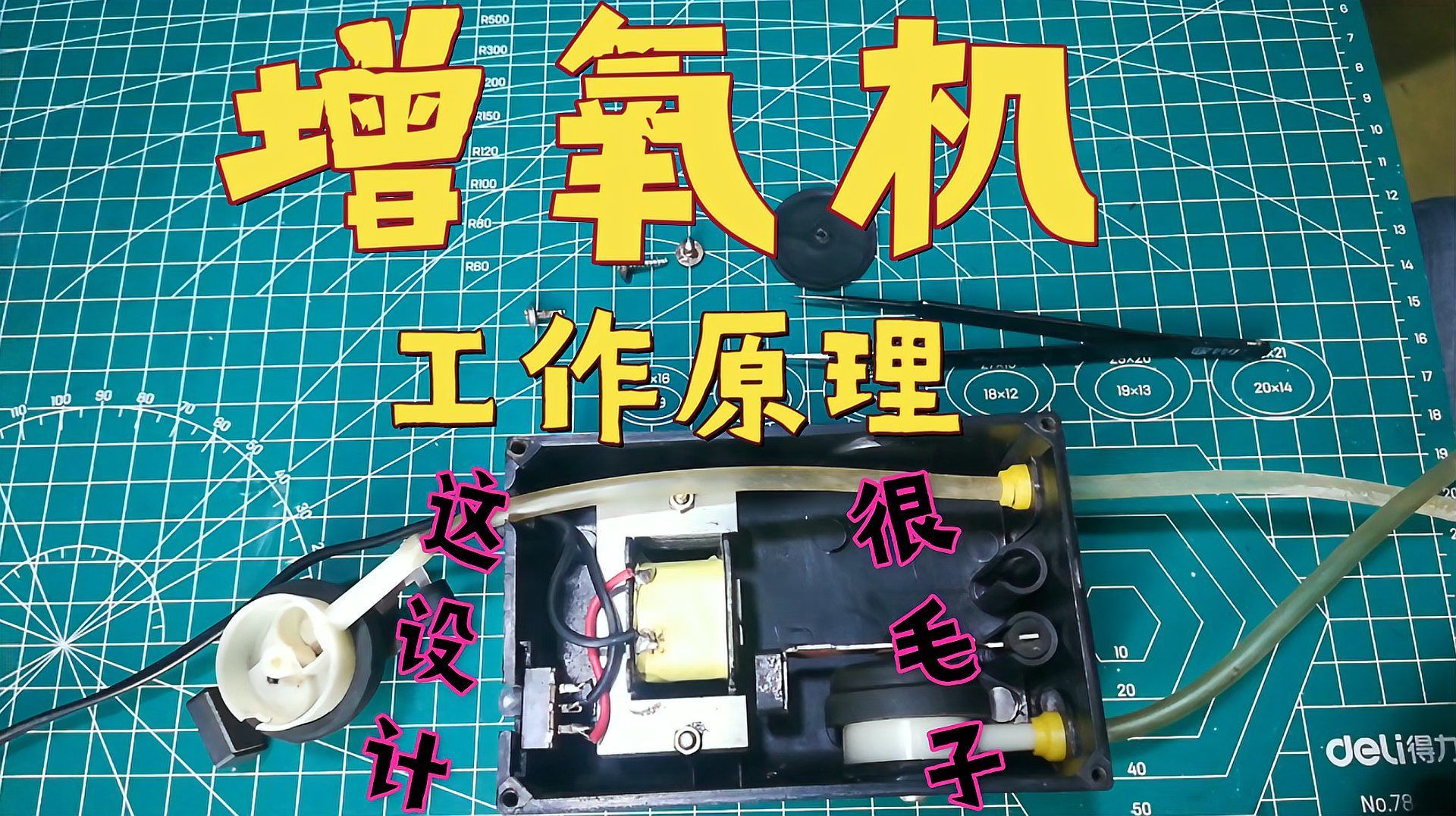 魚(yú)浮頭的原因及解決辦法，魚(yú)浮頭的原因及解決辦法詳解