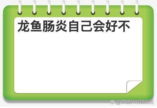 龍魚多久不喂會得腸炎，龍魚多久不喂會得腸炎，新手飼養(yǎng)者需要明確一點，而是與多種因素有關