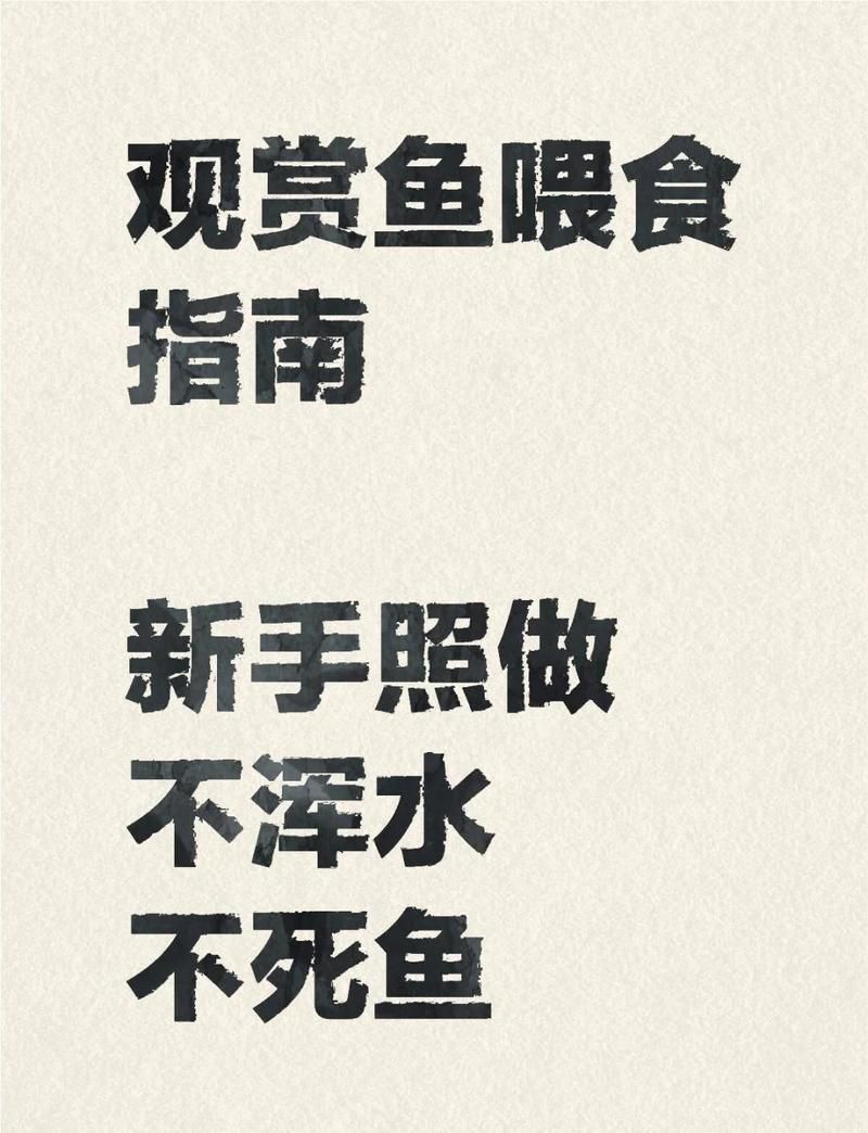 龍魚喂食頻率和投喂量如何掌握，金魚斗魚龍魚喂食頻率和投喂量是確保其健康生長的關鍵因素