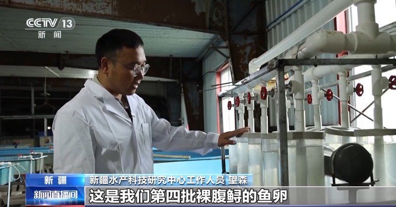 哪些品種的人工繁殖成功率最高，人工繁殖成功率最高的物種