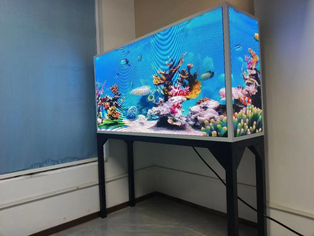如何為孔雀魚提供適宜的光照環境，關于孔雀魚光照環境的建議