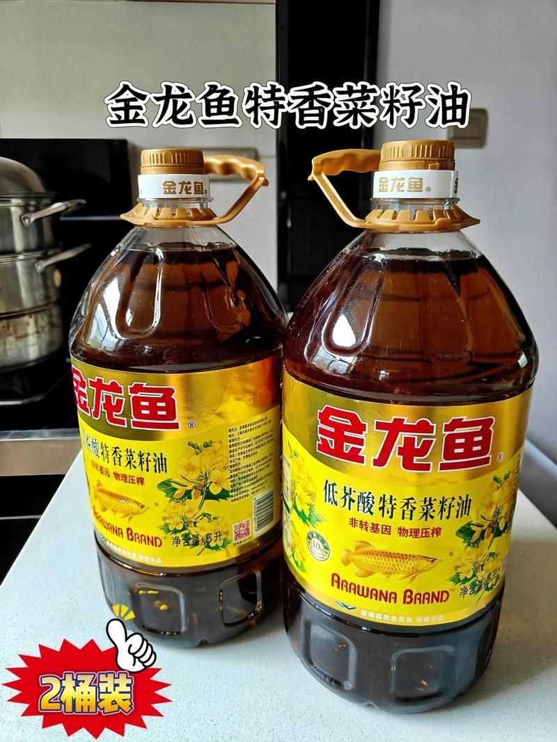 金龍魚和龍大哪個更實惠？，定油魚和龍大哪個更實惠優異，用戶要求詳細對比