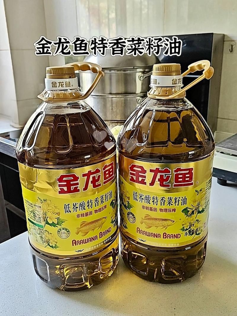 金龍魚和龍大哪個更實惠？，定油魚和龍大哪個更實惠優異，用戶要求詳細對比