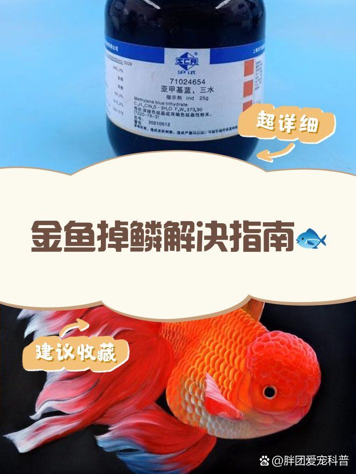 能否提供松鱗病治療的詳細步驟，松鱗病治療步驟