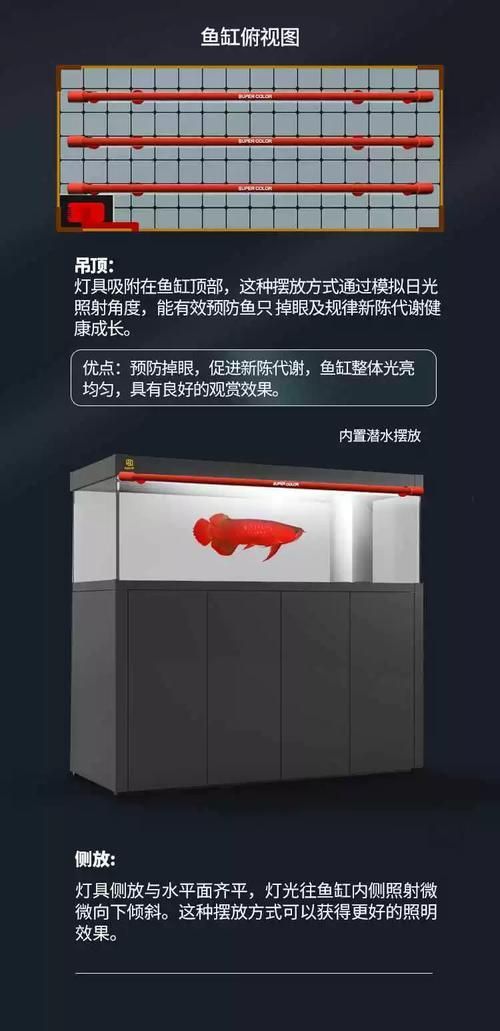 有哪些類型的燈適合龍魚？