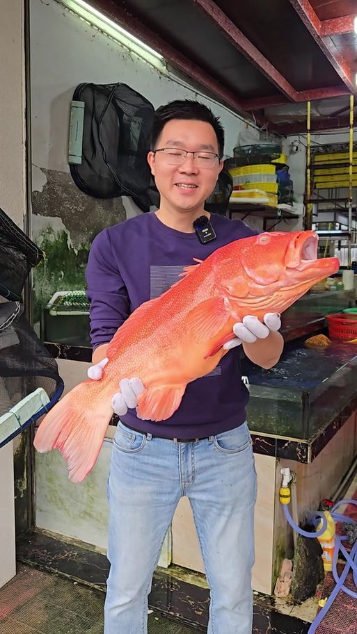 能給出更多海南龍魚的圖片嗎，海南龍魚是什么？