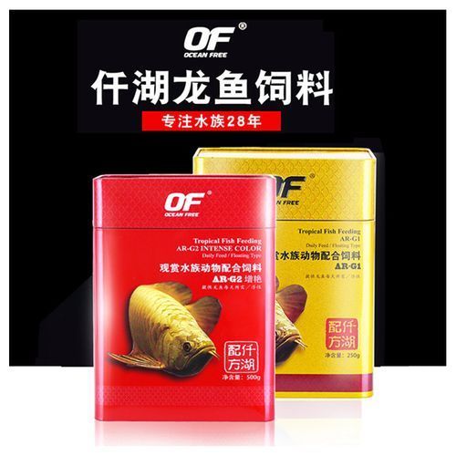 還有哪些品牌的紅龍魚飼料推薦？，紅龍魚的飼料選擇