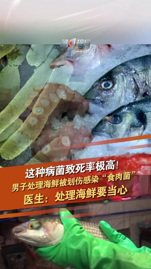 請提供一張關于感染海里細菌的圖片，感染海里細菌后如何治療